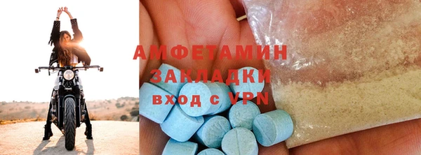 ПСИЛОЦИБИНОВЫЕ ГРИБЫ Каменка