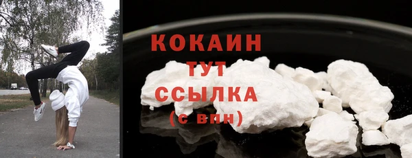 ПСИЛОЦИБИНОВЫЕ ГРИБЫ Каменка
