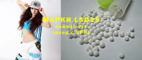 ПСИЛОЦИБИНОВЫЕ ГРИБЫ Каменка