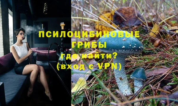 гидропоника Каменск-Шахтинский