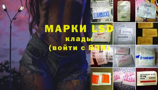 ПСИЛОЦИБИНОВЫЕ ГРИБЫ Каменка