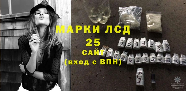 ПСИЛОЦИБИНОВЫЕ ГРИБЫ Каменка
