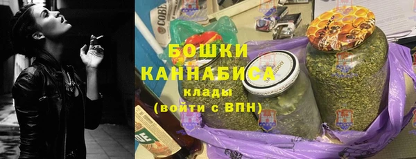 ПСИЛОЦИБИНОВЫЕ ГРИБЫ Каменка