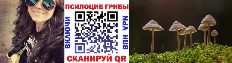 Галлюциногенные грибы GOLDEN TEACHER  Купить закладки  Белоярский 
